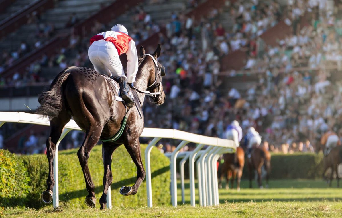 Horse Racing Events Coach Hire