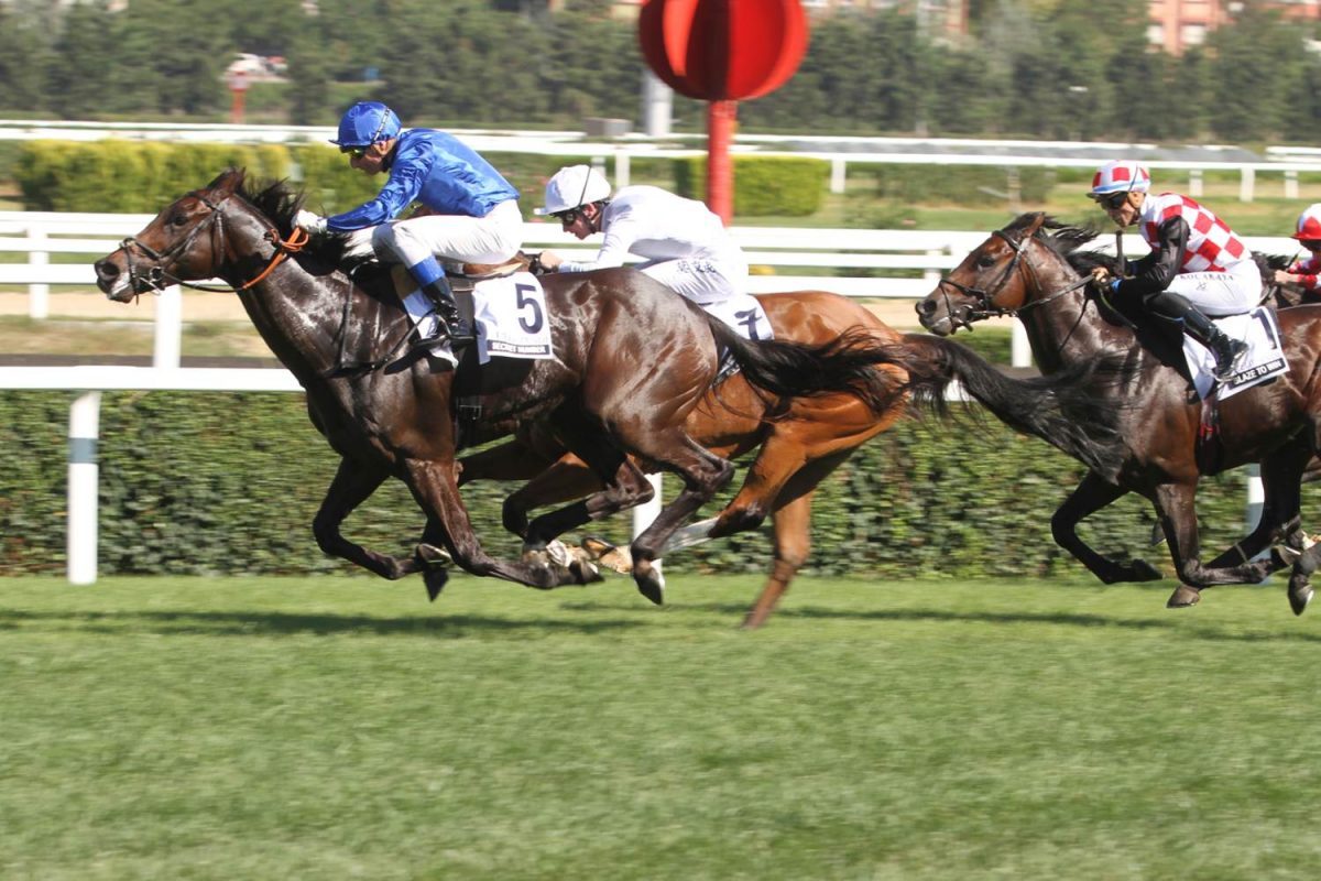 Minibus and coach hire transport to the QIPCO Guineas Festival