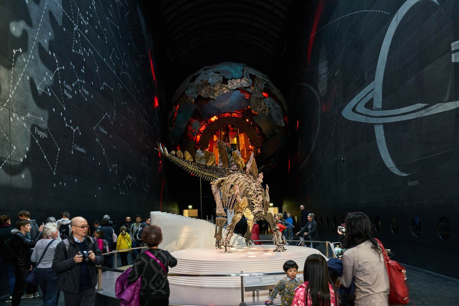 Science Museum dinosaur exhibit in London - Coach transport for school trips