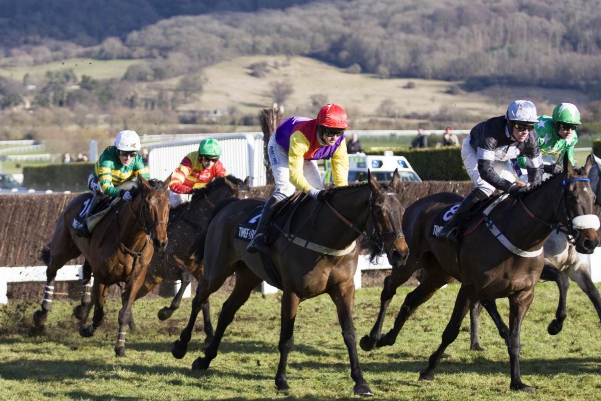 Cheltenham Race in 2010